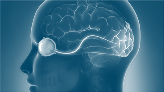 Neuro Ophthalmology